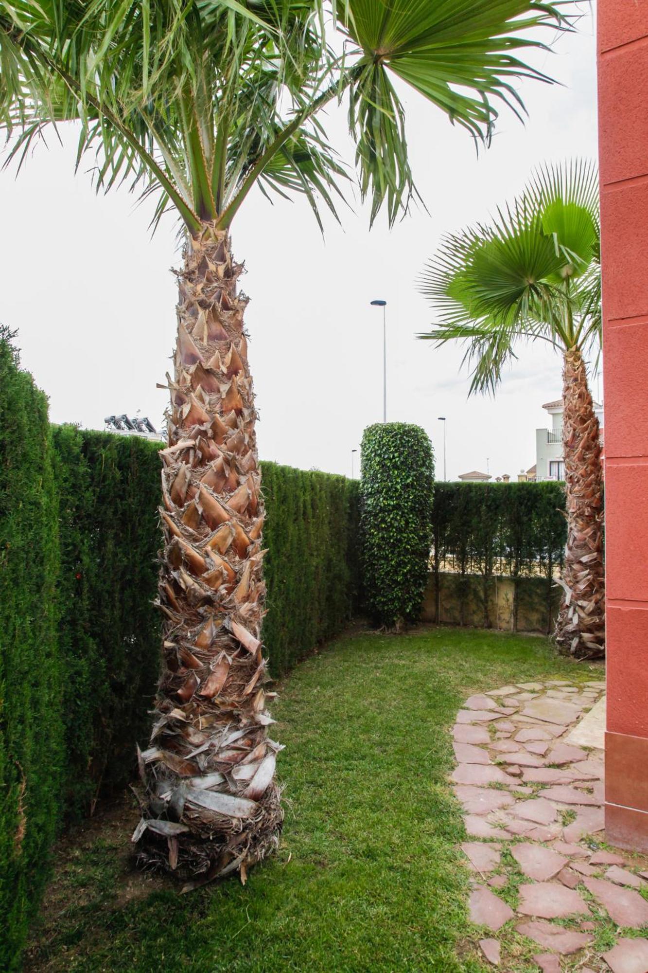 Apartment Altos De La Bahia X Torrevieja Værelse billede