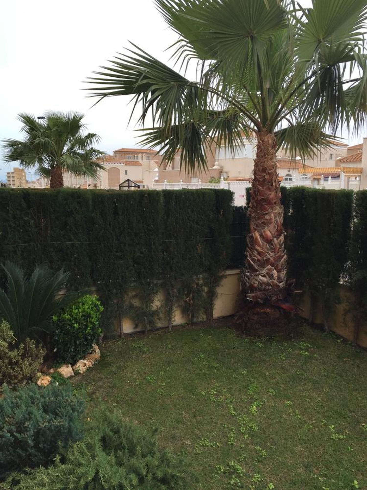 Apartment Altos De La Bahia X Torrevieja Værelse billede